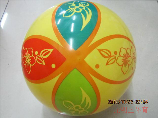 Ballon de volley - Ref 2013255 Image 4