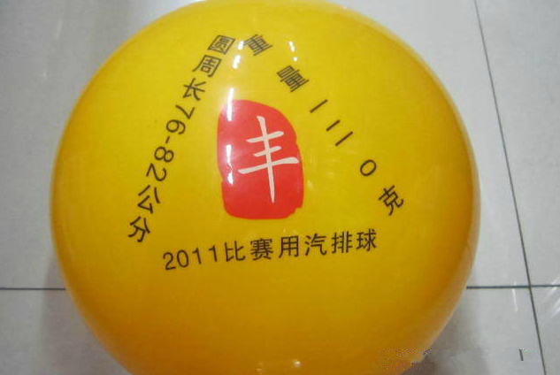 Ballon de volley - Ref 2012058 Image 13