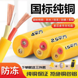 National Standard Pure Copper Two-Core Three-Core Four-Core Rvv Cable Beef Tendon Wire Soft Wire Outdoor 4/6 Square Sheathed Wire