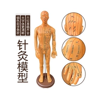 Sku_ Copper Color 50 см мужской модели