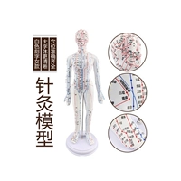 SKU_ S 48CM Женская модель