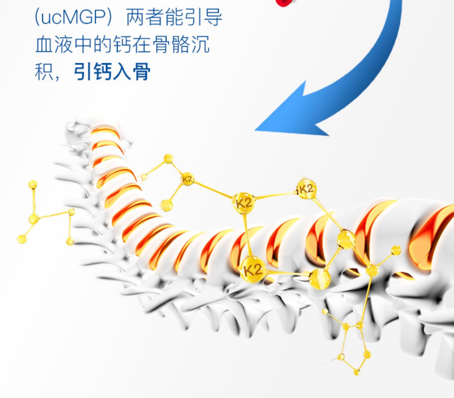 金达威进口天然维生素K2软胶囊*2瓶