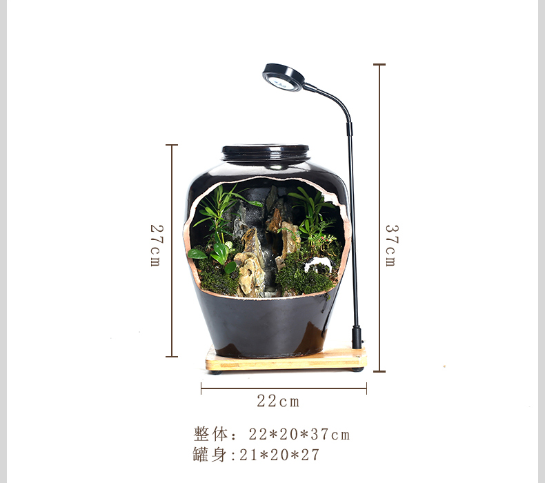 By sumeru world creative ceramic tank micro potted landscape water, tea pet Chinese zen furnishing articles