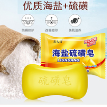 Sub-knot sea salt sulphur soap in addition to mites pythface men and women back wash face deep cleaning to mites sulphur soap