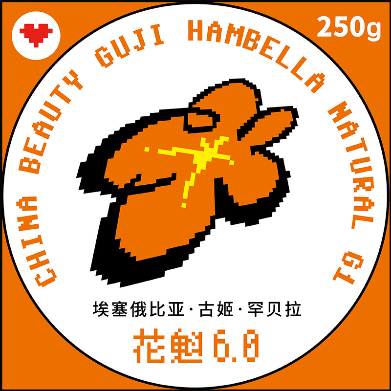 The Quebec 6 0 SOE Ethiopian GUJI Hampera Handick Italian Coffee Bean 250g