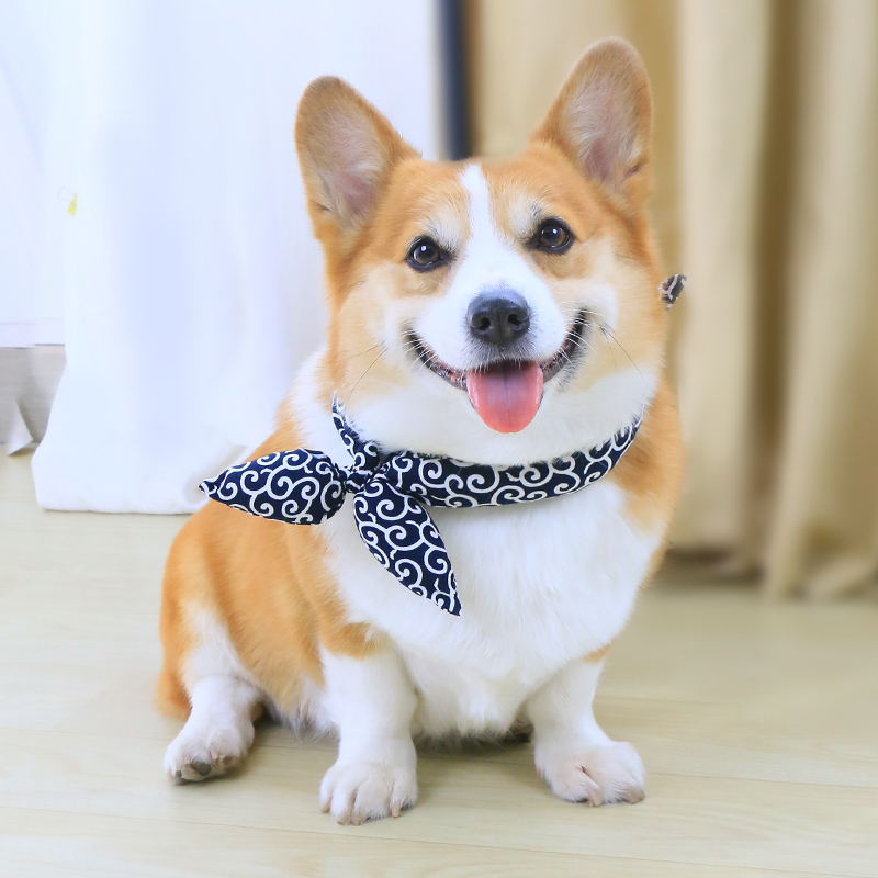 Pet Pooch Neckline Decoration Cute Mesh Red Scarf Scarf Puppies Kokie Teddy Chai Dogs Neckline Neckline Ornament-Taobao