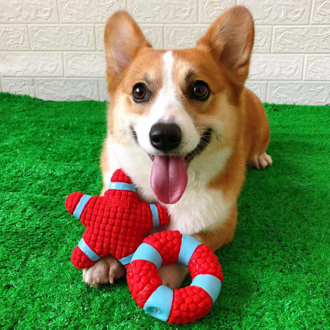 Dogs Toys Koki vocal puppies Bite Grindle Teeth large Dog Ball Teddy Supplies Kirky Dog Toys Ball