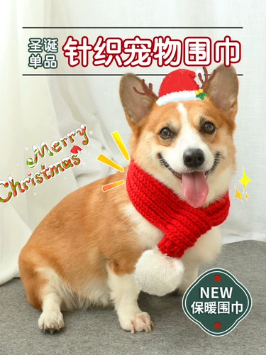 Шарф, милый демисезонный удерживающий тепло аксессуар