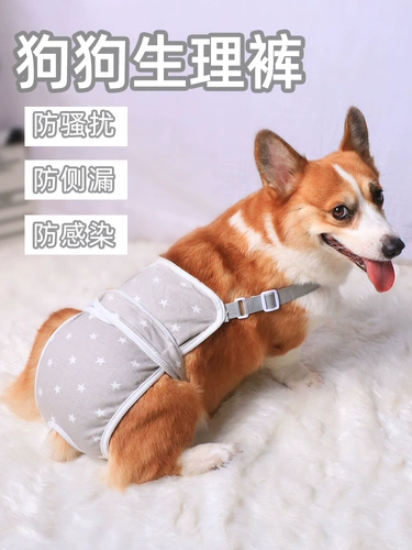 Пять лет старого магазина восемь цветов брюки брюки Pet Dog Физиологические штаны