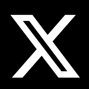 X | Twitter | 小蓝鸟 | 直登号 | 2006-2025年 | 10-30真粉