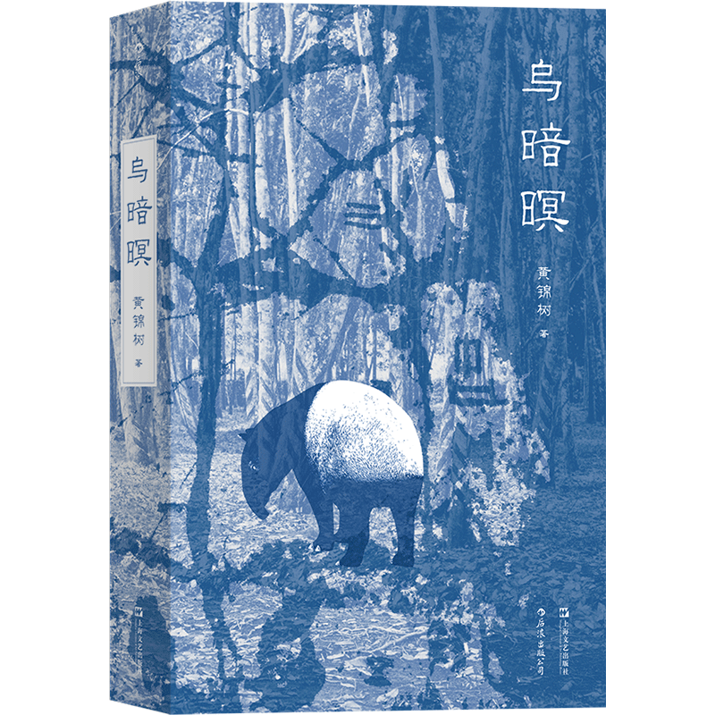 Authentic Edition: Dark Night, Shanghai Literature and Art Publishing House, Huang Jinshu, 9787532174003