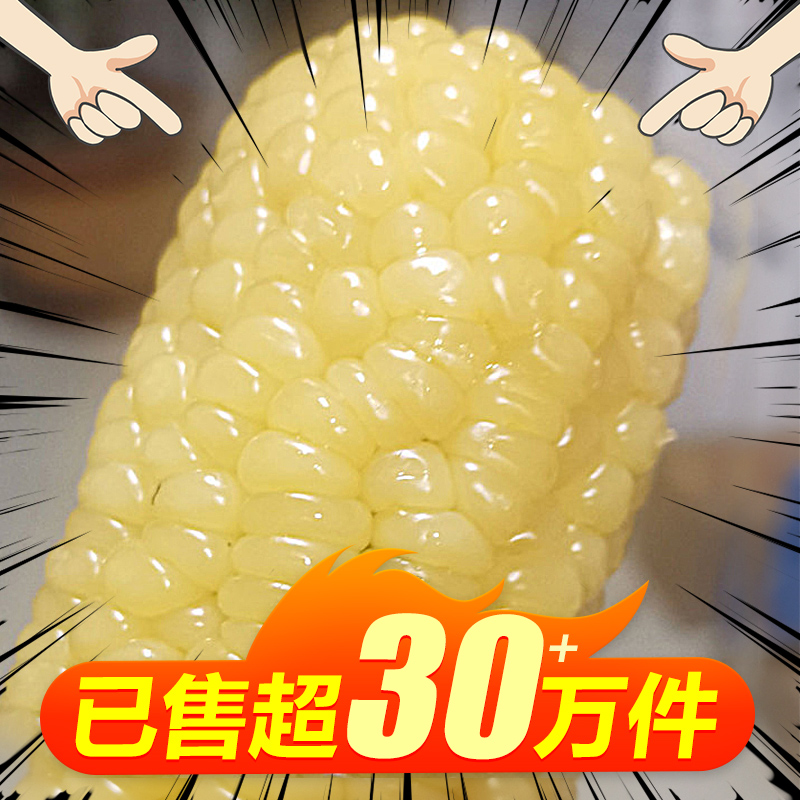 Gutian Kee Northeast sticky glutinous fresh white corn stick vacuum 10 pieces Now pick sweet sticky instant corn fat meal replacement