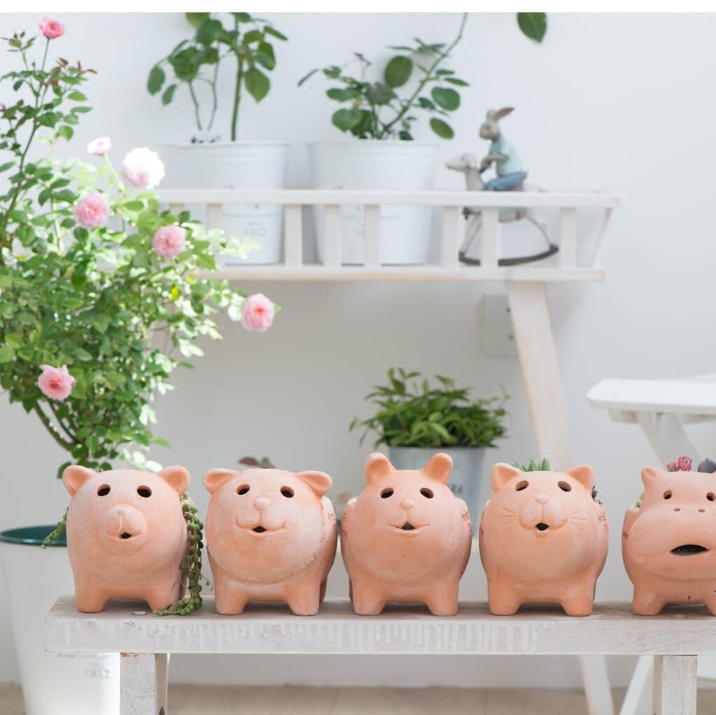 Warm peninsula small cute light terracotta succulent flower garden decoration succulent plant flower pot