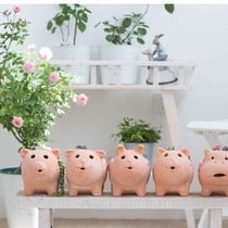 Warm Peninsula small cute light red pottery fleshy flower garden decoration succulent plant pot