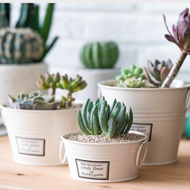 Warm Peninsula logo iron three-piece set double ear iron flower pot pot multi-meat office potted set meal