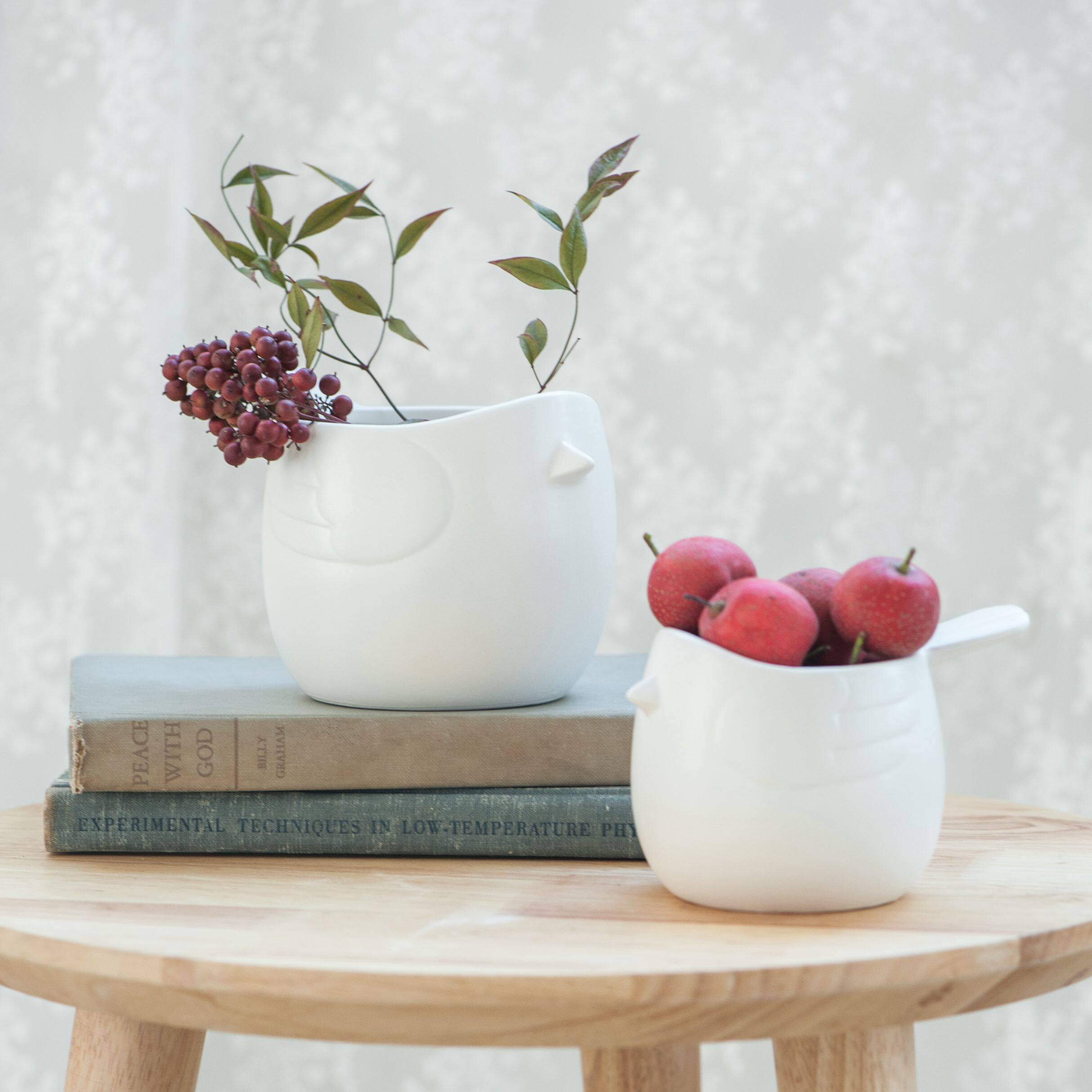 Warm Warm Peninsula Beep Beep Bird Ceramics Hydroponic Flower Pots Office Desktop Multimeat Green Implanter