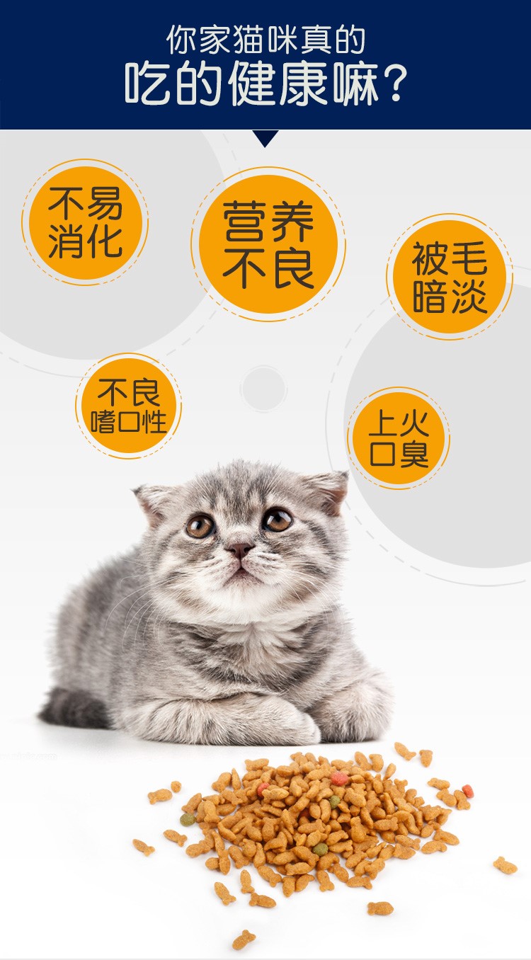 Bezoo dinh dưỡng vào thức ăn cho mèo mèo mèo 2,5kg cá hồi biển sâu 5 kg thức ăn toàn thời gian cho mèo đi lạc 10 thức ăn chủ yếu thức ăn cho mèo ta