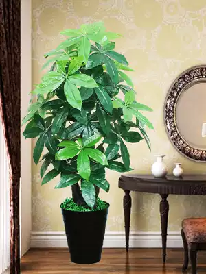 Simulation plant fake Fortune Fortune tree potted living room flower green plant plastic money tree fake flower Interior decoration