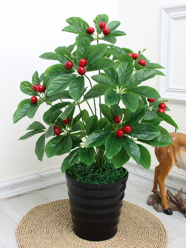 Бионическое зеленое растение в горшках гостиная комната