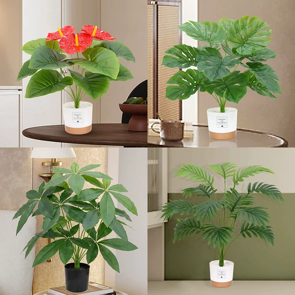 Товары от 万家仓花卉