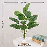 12-лифтный путешественник Canna и Platinum Pot