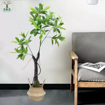 Nordic simulation plant living room ornaments floor decoration fake plant large green plant Golden kurtoise back potted plant simulation flower