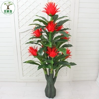 1,7 метра джиунчалиан (без горшков)