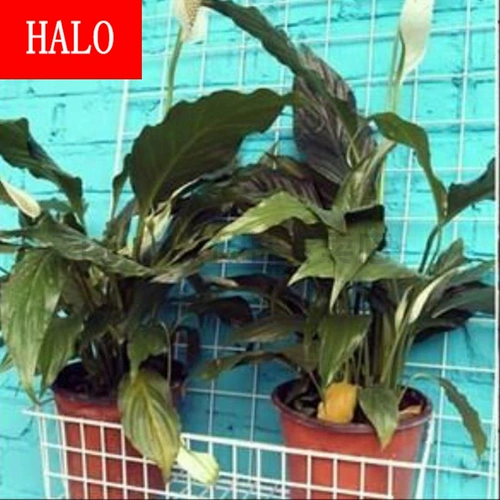 Сетка сетка сетки сетки белая железная сеть сетка железная сетка защита сети одежда супермаркет напольные стойла