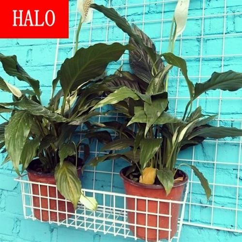 Сетка сетка сетки сетки белая железная сеть сетка железная сетка защита сети одежда супермаркет напольные стойла