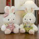 Cute Mora Rabbit Plush Toy Cute Dressing