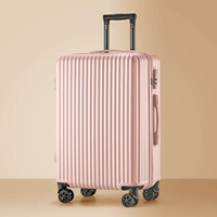 Модель порошка кизила/тренда модель молнии