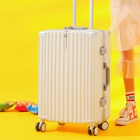 Shell White/наслаждайтесь супер молчаливым