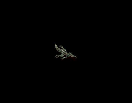 怪物素材怪物素材0283