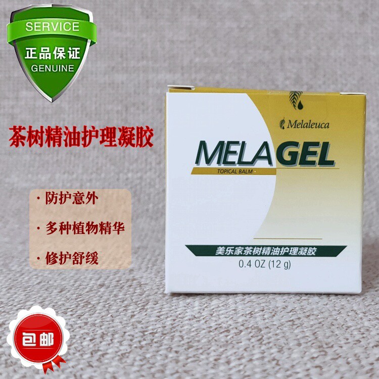 Beauty Lejia Tea Tree Care Gel Solid Tea Tree Essential Oil Soothing Repair Tea Tree Gel 12g 3417