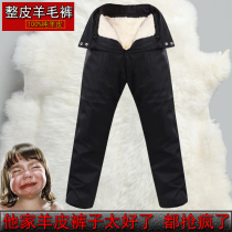 Cashmere mens sheepskin pants pure leather real sheepskin real hair thickened cold-resistant cotton pants winter new middle-aged and elderly pants