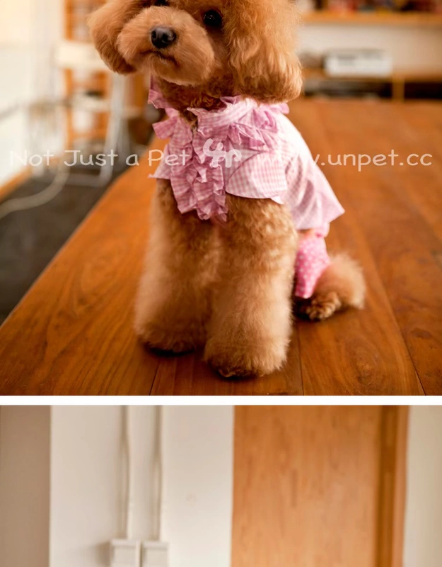 UNPET Breguet Dog Dress Teddy Dress Mùa xuân và mùa thu Kẻ sọc tinh tế Đầm ren Anh - Quần áo & phụ kiện thú cưng