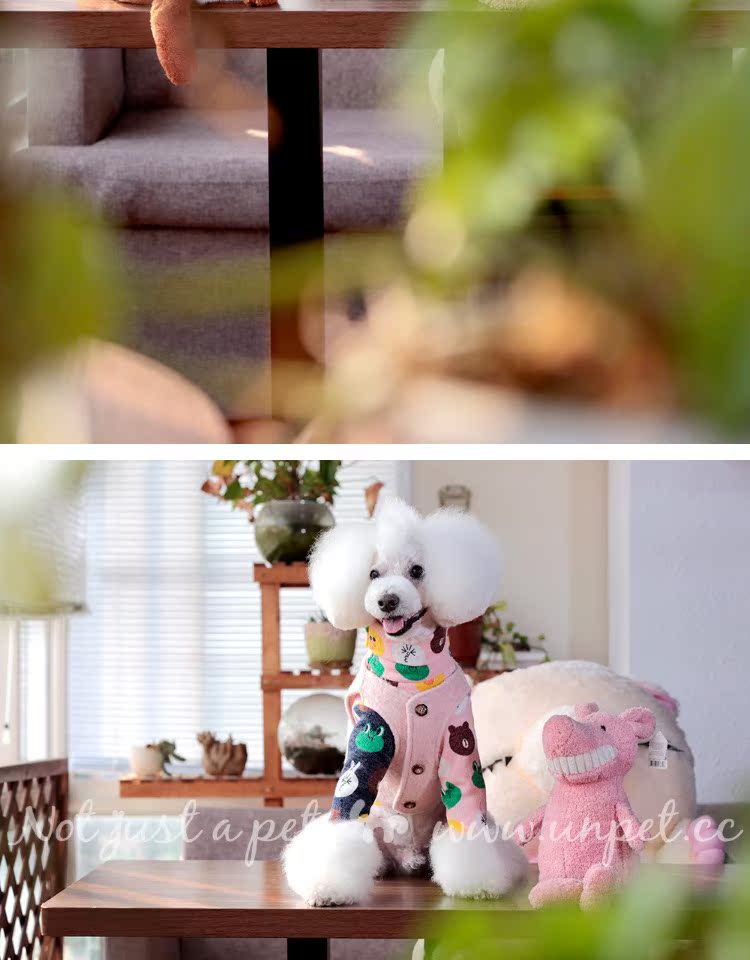 UNPET Breguet thú cưng trang phục chó Brown Bear Sally in hình áo len xanh cổ tròn áo thun bột cao cổ áo chạm đáy - Quần áo & phụ kiện thú cưng phu kien cho meo