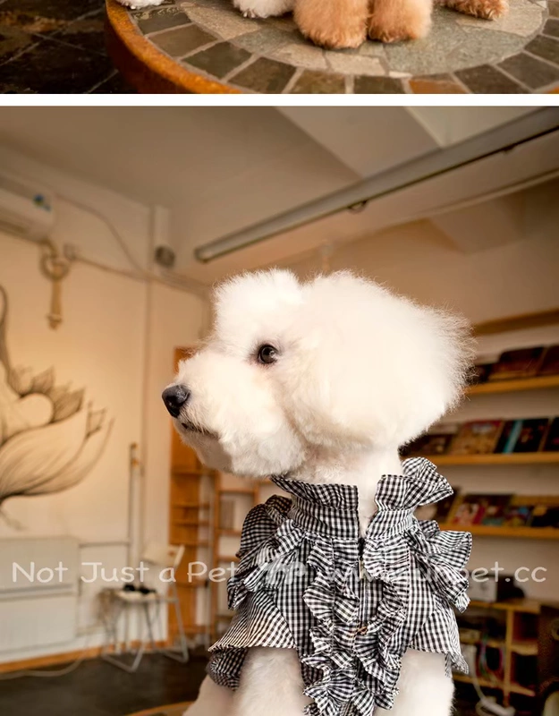 UNPET Breguet Dog Dress Teddy Dress Mùa xuân và mùa thu Kẻ sọc tinh tế Đầm ren Anh - Quần áo & phụ kiện thú cưng