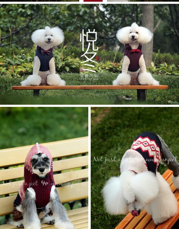 UNPET Breguet Pet Chó và Chó Teddy Bear Schnauzer Quần áo Áo hoodie Anh Áo trùm đầu đôi - Quần áo & phụ kiện thú cưng nón cho mèo
