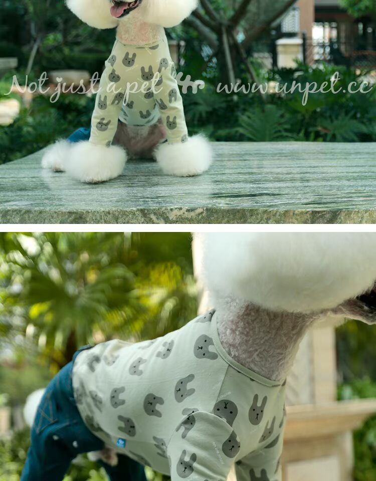 UNPET Breguet Pet mèo, chó, trang phục chó, áo mùa thu đông, áo thun cổ thỏ, ba màu tùy chọn - Quần áo & phụ kiện thú cưng quan ao cho meo
