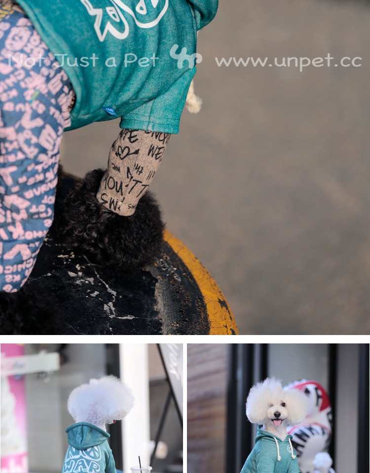 UNPET Breguet Pet Dog Cat Trang phục Biểu tượng phản chiến Teddy Bear Đan áo hoodie hai lớp cộng với áo nhung - Quần áo & phụ kiện thú cưng quần áo cho thú cưng
