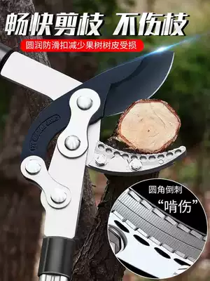 Special scissors for cutting branches extended garden pruning shears