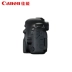 Máy ảnh DSLR thân máy Canon / Canon EOS 6D Mark II độc lập 6D2 - SLR kỹ thuật số chuyên nghiệp SLR kỹ thuật số chuyên nghiệp