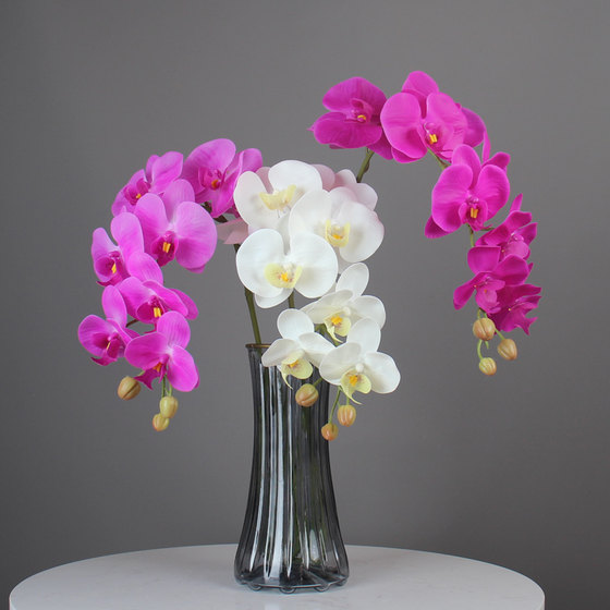 PU手感白色蝴蝶兰仿真花假花单枝楼盘酒店前台室内摆件客厅装饰花