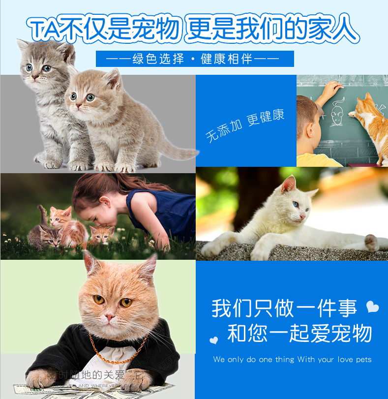 Beibei caro mèo tắm gel mèo và chó giết chết đặc biệt 螨 蚤 虱 虱 vào nguồn cung cấp dầu gội tắm cho mèo trẻ - Cat / Dog Beauty & Cleaning Supplies 	lược chải lông rụng cho mèo	