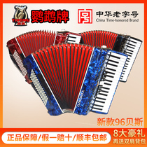 Parrot accordion YINGWU 96 bass 37 keys YW-871 accordion beginner exam performance