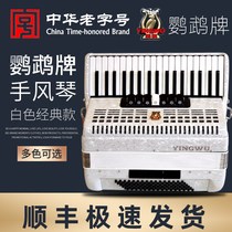 Parrot accordion 8 32 48 60 96 120 bass three and four rows of spring button accordion beginner performance