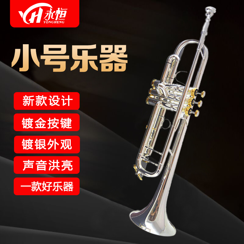 Timeless YONGHENG down B Tone Instruments Silver-plated Gold Key Beginner examination Play Delivery Accessories