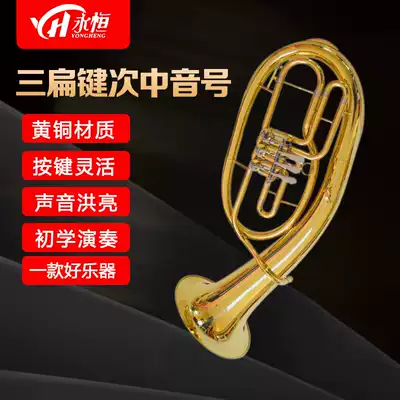 YONGHENG YONGHENG B-down THREE flat keys second alto horn horn wind instrument beginner examination test performance