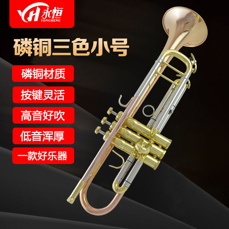 Timeless YONGHENG descending B Phosphorus Copper Tricolour Horn Instruments Beginology Test Ensemble